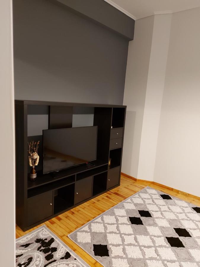 Vasilikis Luxury Loft Apartment Ioannina Bagian luar foto
