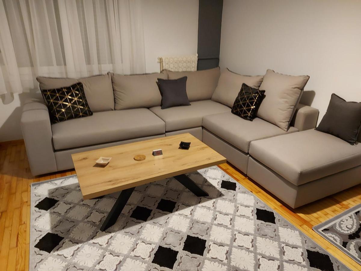 Vasilikis Luxury Loft Apartment Ioannina Bagian luar foto